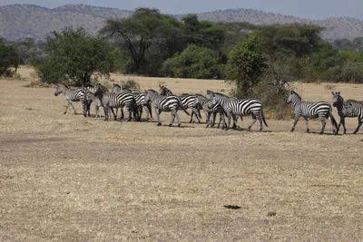 DSC_3464 (Large).JPG